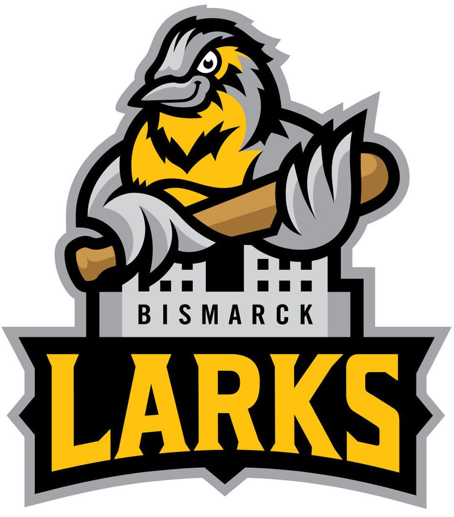 Bismarck Larks 2017-Pres Primary Logo iron on heat transfer